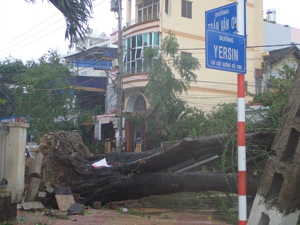 Phóng sự ảnh: Một số hình ảnh thành phố Nha Trang ngay sau cơn bão số 12 - Hình 5