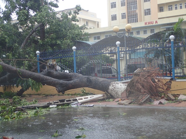 Phóng sự ảnh: Một số hình ảnh thành phố Nha Trang ngay sau cơn bão số 12 - Hình 6
