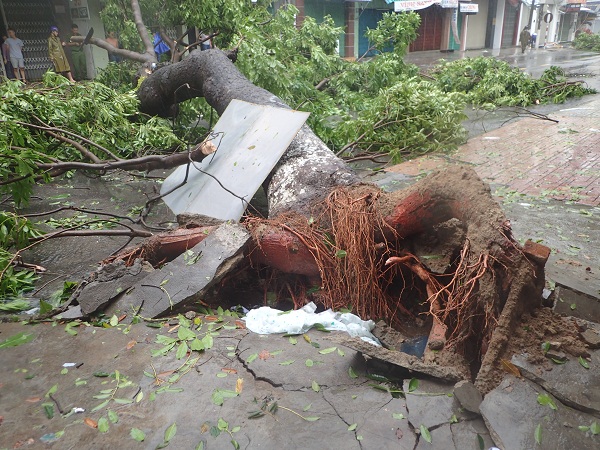 Phóng sự ảnh: Một số hình ảnh thành phố Nha Trang ngay sau cơn bão số 12 - Hình 7