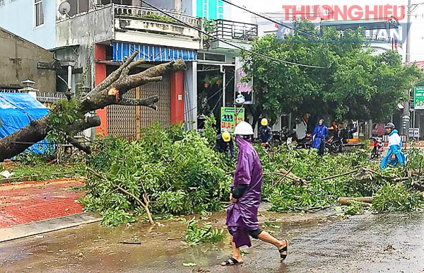 Gia Lai: Nhiều địa phương chịu ảnh hưởng nặng bão số 12 - Hình 1