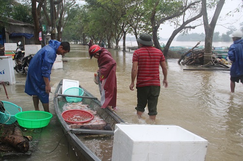 Thừa Thiên Huế chịu nhiều thiệt hại vì mưa lũ - Hình 1