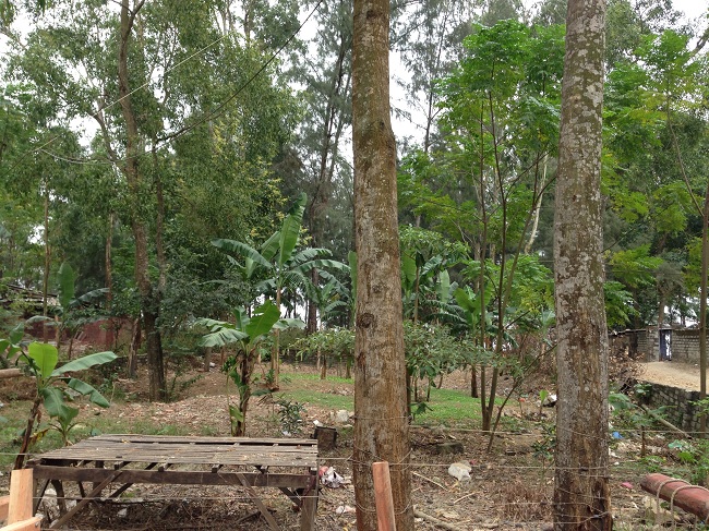 Người dân lâm cảnh mất đất do địa phương giao đất trái thẩm quyền?