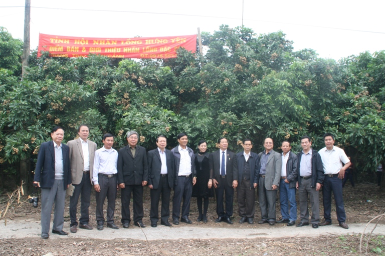 Hội nghị tham quan mô hình nhãn ra quả trái vụ tại Hưng Yên