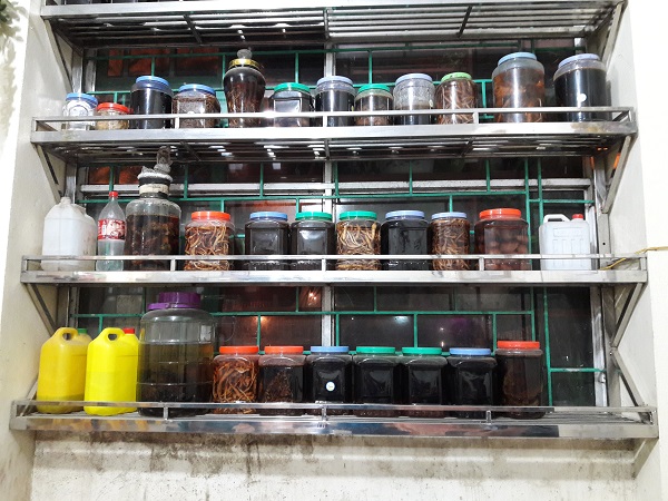 Đừng “tưng tửng” với rượu ngâm cây - con!