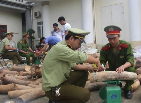 Thanh Hóa: Kiểm tra, phát hiện hơn 5.300 vụ vi phạm buôn lậu, gian lận thương mại - Hình 1