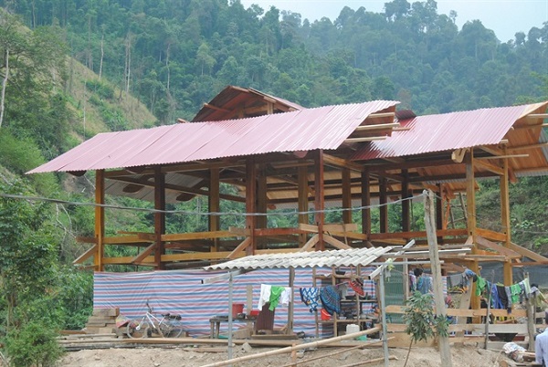 Văn Bàn (Lào Cai): Thực hư câu chuyện phá rừng phòng hộ đầu nguồn ở Nậm Tha - Hình 6