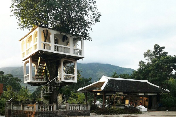 Nha Trang: Nhà xây trên cây Hoàng Hoa Thôn, điểm đến độc đáo - Hình 1