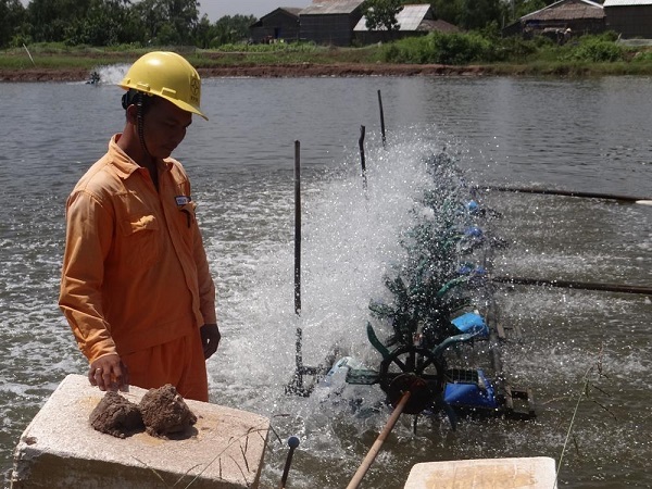 Thí điểm thành công Đề án Hỗ trợ tiết kiệm điện cho các hộ nuôi tôm