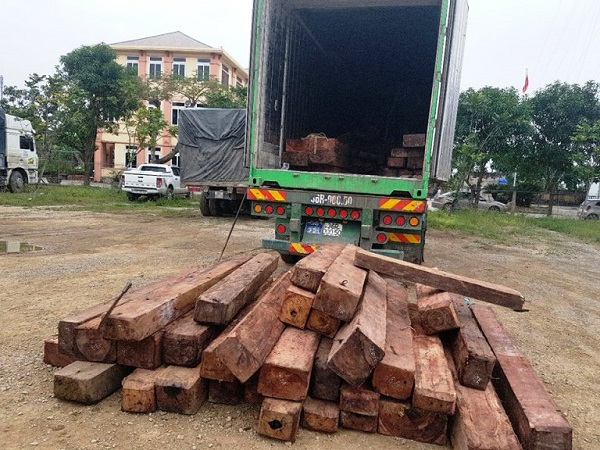Nghệ An: Bắt giữ xe đầu kéo chở gỗ lậu trị giá gần 1 tỷ đồng - Hình 1