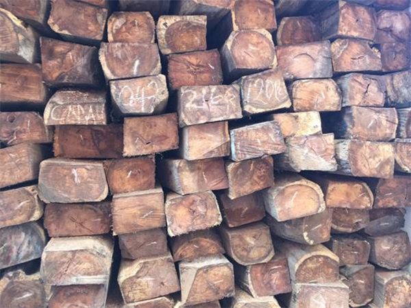 Khởi tố vụ buôn lậu gần 40m3 gỗ quý tại cảng Hải Phòng - Hình 1