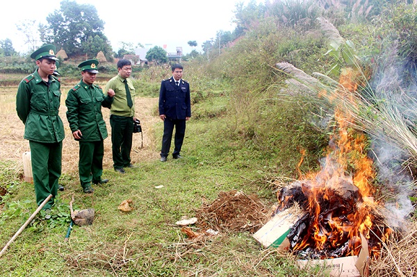 Quảng Ninh: Bắt giữ và tiêu hủy 150kg chả mực viên nhập lậu - Hình 1