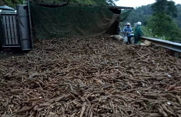 Huế: Xe tải bị nổ lốp, người dân giúp tài xế gom hơn 1 tấn sắn đổ ra đường