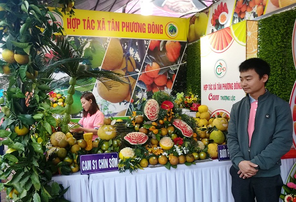 Hà Tĩnh tổ chức Lễ hội cam và các sản phẩm nông nghiệp lần thứ nhất - Hình 4