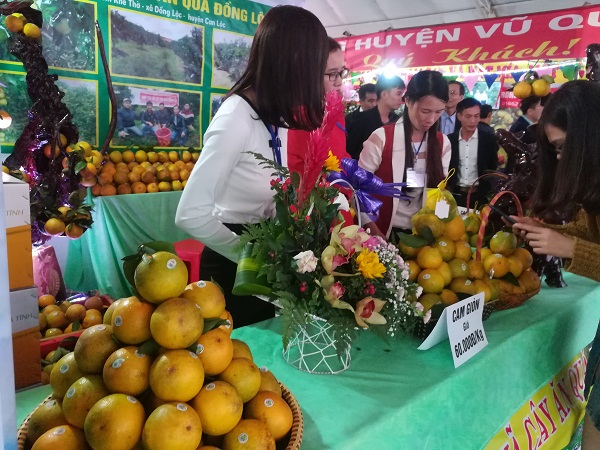 Hà Tĩnh tổ chức Lễ hội cam và các sản phẩm nông nghiệp lần thứ nhất - Hình 4