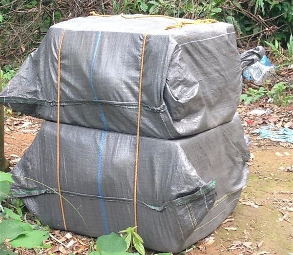 Lạng Sơn: Hải quan Tân Thanh thu giữ 24 thùng hàng vô chủ - Hình 1