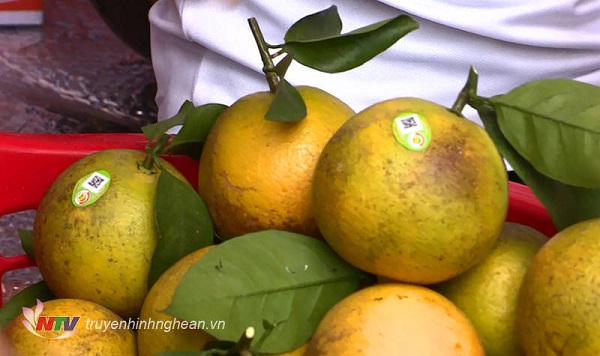 Nhiều nông sản tại Nghệ An được truy xuất nguồn gốc