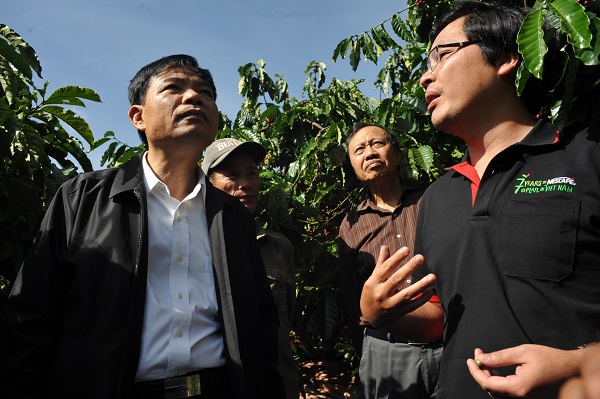 Nhiều giải pháp phát triển bền vững ngành cà phê Việt Nam - Hình 3