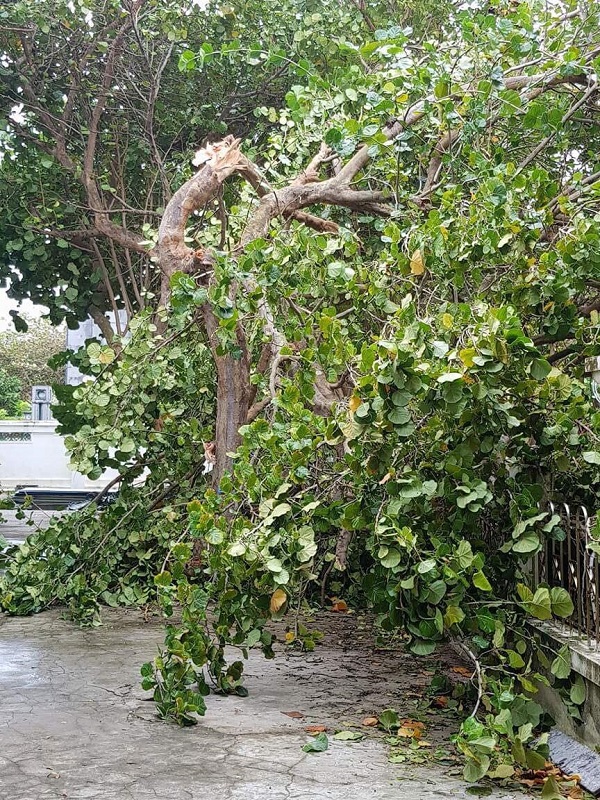 Quang cảnh quần đảo Trường Sa sau cơn bão số 16 - Hình 2