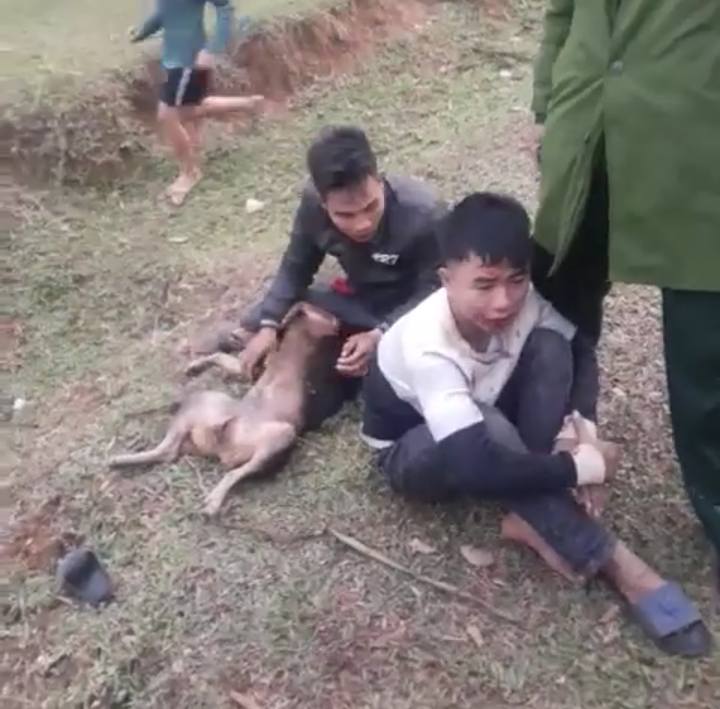 Hai đối tượng trộm chó bị người dân đánh trọng thương