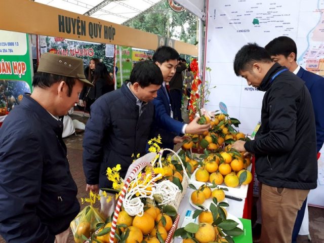 Nghệ An: Lần đầu tiên tổ chức hội chợ cam Vinh - Hình 1