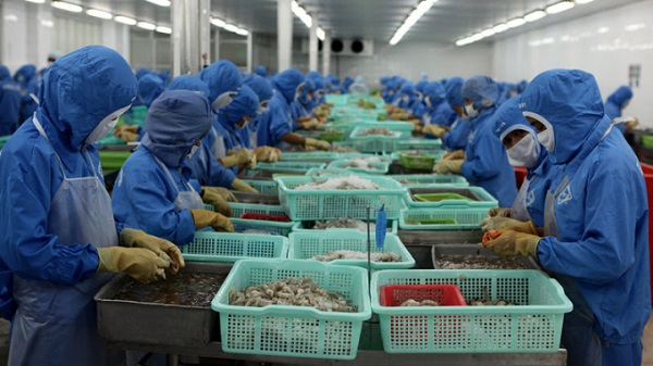 Xuất khẩu thủy sản trong năm 2018 dự kiến đạt trên 8,5 tỷ USD