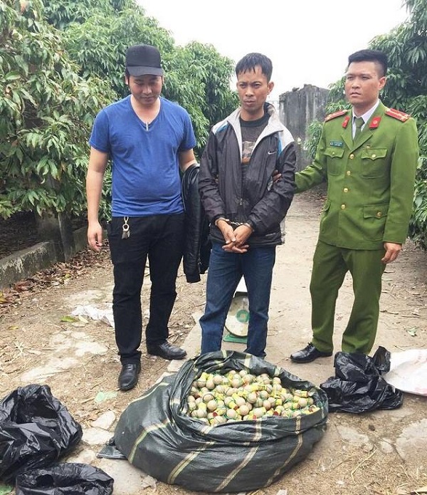 Quảng Ninh: Bắt đối tượng tàng trữ gần 100kg pháo nổ - Hình 1