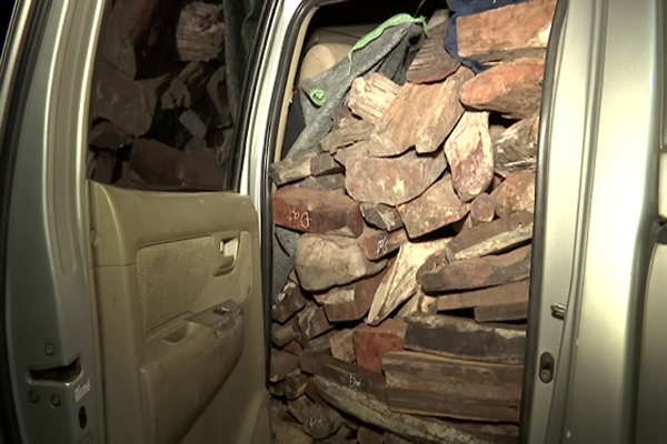 Thu giữ hơn 2 tấn gỗ trắc trên xe ô tô mang biển số giả - Hình 1