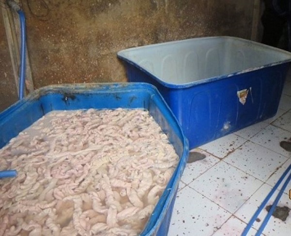 Phát hiện cơ sở dùng ô xy già tẩy trắng gần 2,3 tấn lòng heo
