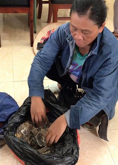 Quảng Ninh: Bắt giữ xe máy vận chuyển 113 kg vẩy tê tê - Hình 1