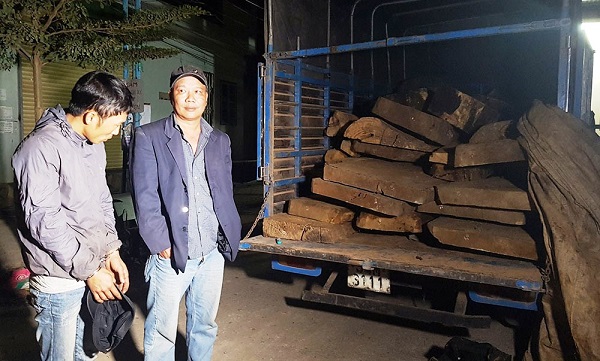 Lâm Đồng: Bắt giữ xe tải chở gỗ lậu - Hình 1