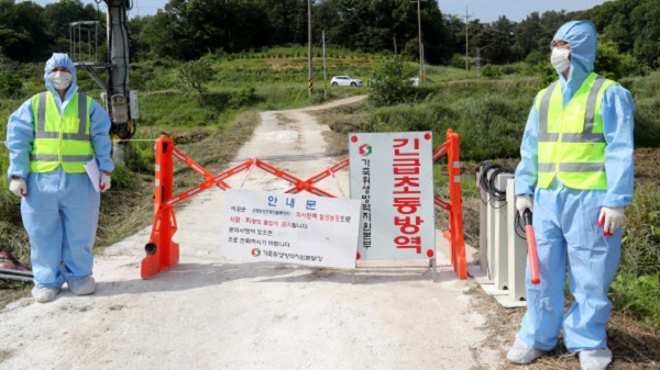 Hàn Quốc phát hiện thêm một ổ cúm gia cầm gần Thủ đô Seoul