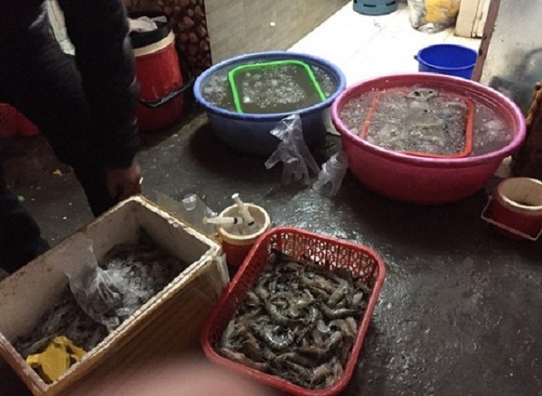 Hà Nội: Bắt quả tang chủ cơ sở đang bơm tạp chất vào 100 kg tôm