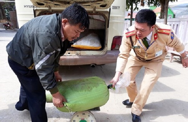 Nghệ An: Bắt giữ hơn 200 kg nội tạng động vật bốc mùi hôi thối