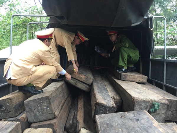 Thừa Thiên Huế: Bắt giữ xe tải vận chuyển lậu số lượng lớn gỗ Mun - Hình 1