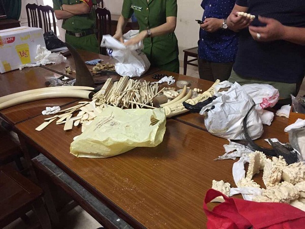 16 tổ chức bảo tồn cùng kêu gọi xét xử nghiêm minh “trùm” buôn lậu sừng tê giác