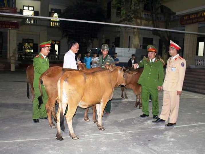 Nghệ An : Bắt đối tượng gây ra hàng loạt vụ trộm “đầu cơ nghiệp”