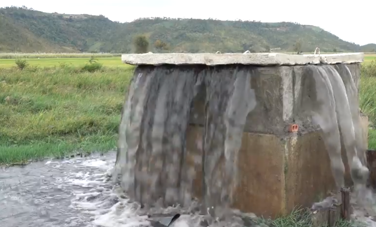 Gia Lai: Dân bức xúc vì nhà máy tinh bột sắn lại xả thải gây ô nhiễm