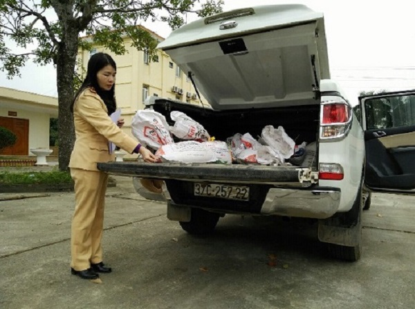 Thanh Hóa: Bắt giữ xe bán tải chở quặng lậu - Hình 1