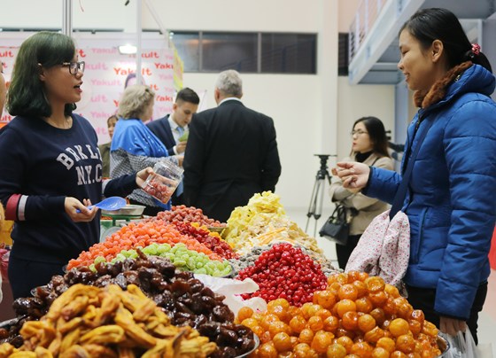 Đà Nẵng: Khai mạc hội chợ xuân 2018 - Hình 3