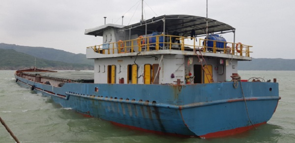 Bình Định: Tạm giữ tàu vận chuyển 1.900 tấn than lậu - Hình 1