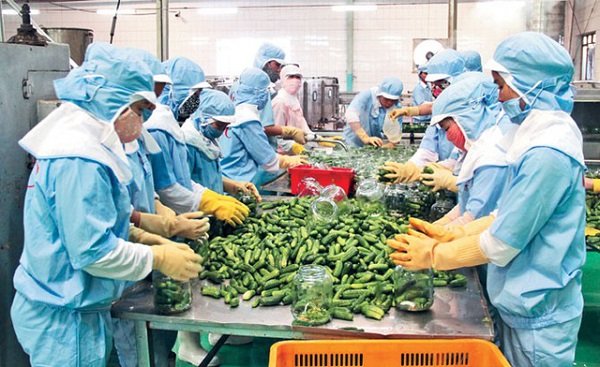 Tháng 1/2018: Xuất khẩu rau quả ước đạt 321 triệu USD
