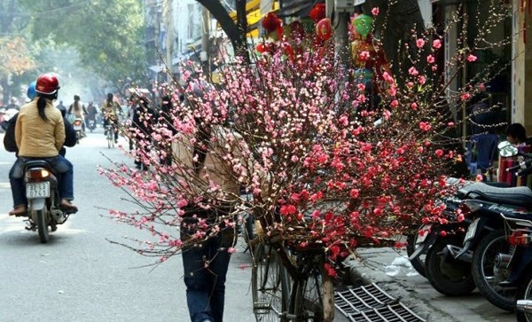 Dự báo thời tiết ngày 30 Tết: Bắc Bộ và Trung Bộ hửng nắng, phía nam trời rét