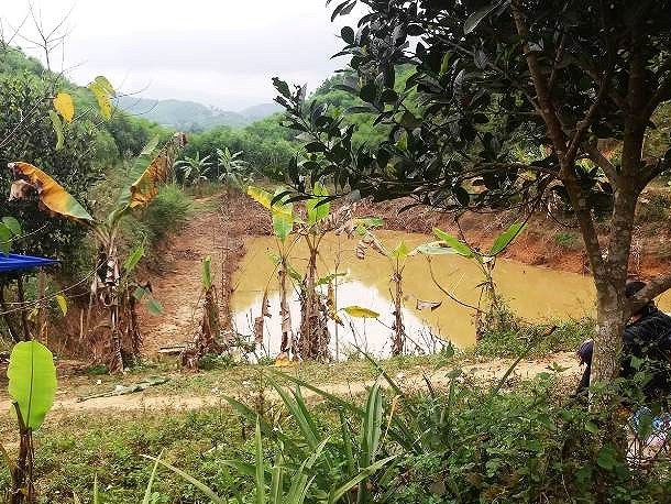 Nghệ An: Phát hiện thi thể nam thanh niên dưới ao nước