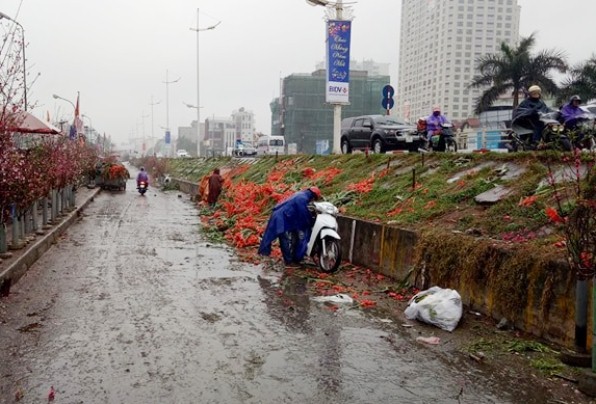 Hà Nội: Hoa lay ơn bị vứt bỏ đỏ đường sau Tết Mậu Tuất - Hình 8