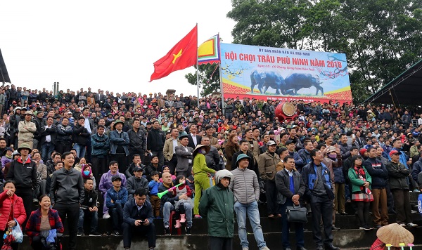 Phú Thọ: Kẻ vui người buồn tại Hội chọi trâu Phù Ninh
