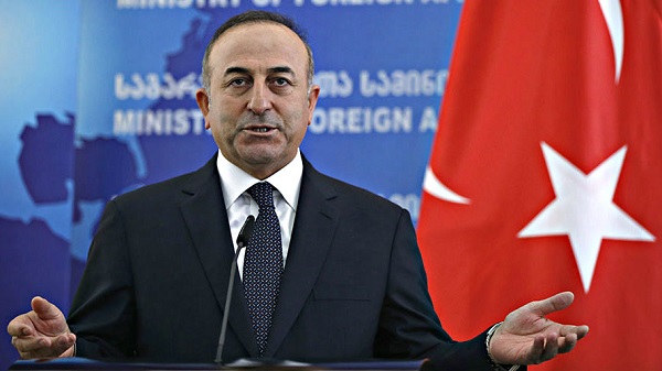 Thổ Nhĩ Kỳ kêu gọi Iran, Nga gây sức ép với Chính phủ Syria - Hình 1
