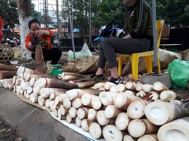 Mùa măng đắng xứ Nghệ