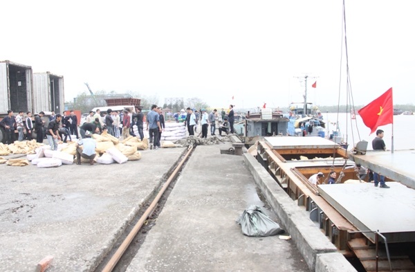 Tạm giữ 2 tàu chở thịt trâu đông lạnh không rõ nguồn gốc