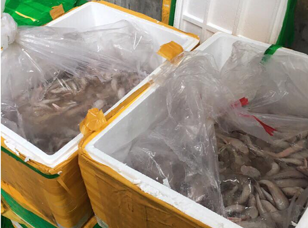 Quảng Ninh: Bắt giữ vụ vận chuyển trái phép 950 kg cá khoai, cá đối đông lạnh - Hình 1