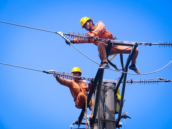 Điều lệ tổ chức và hoạt động của EVN